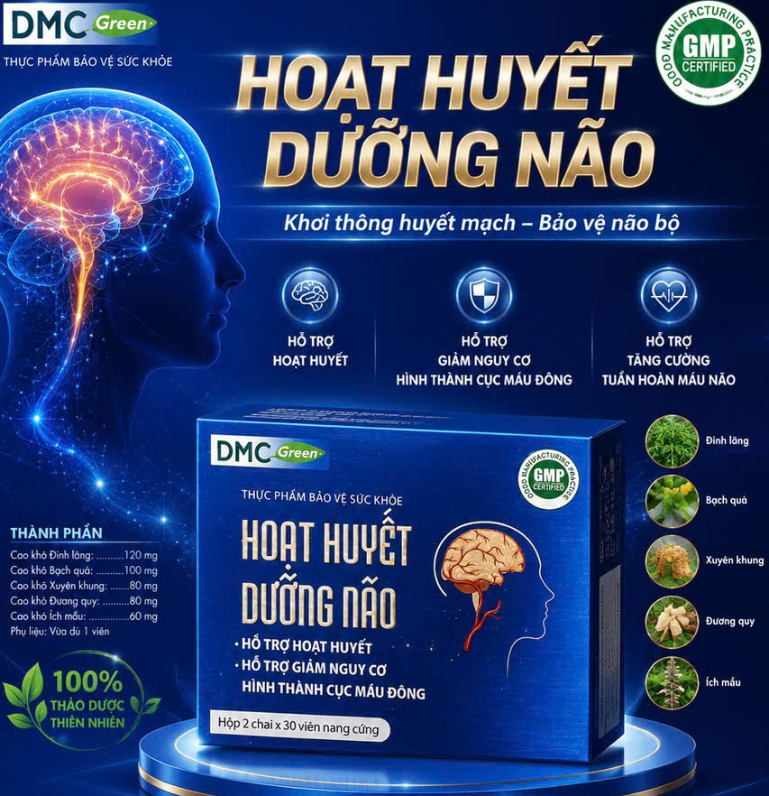 Hoạt huyết dưỡng não